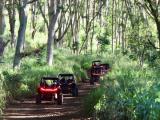 Kauai ATV Backroads Tours